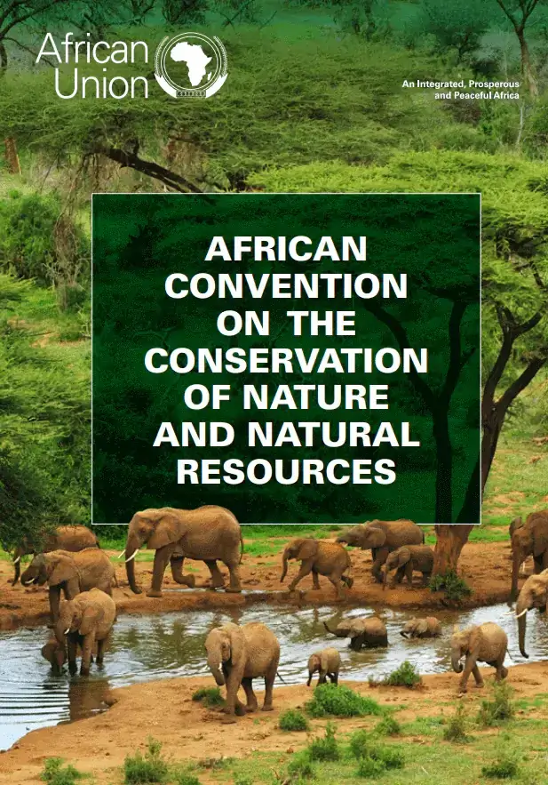 Conservation Of Nature